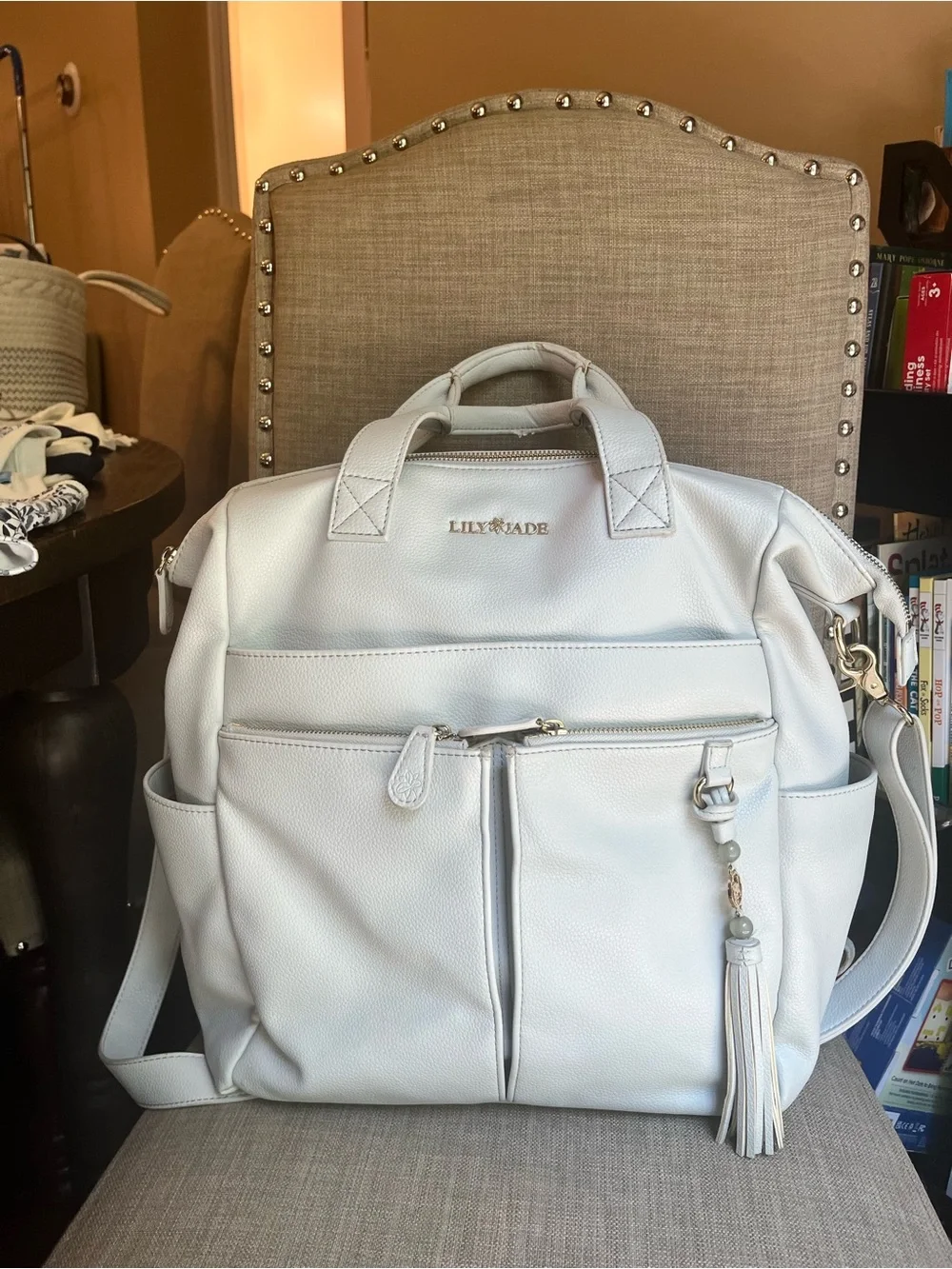 Lily Jade Convertible Bag in Stone with Tassel